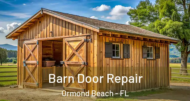 Barn Door Repair Ormond Beach - FL