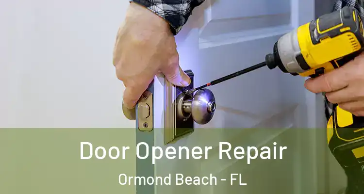 Door Opener Repair Ormond Beach - FL