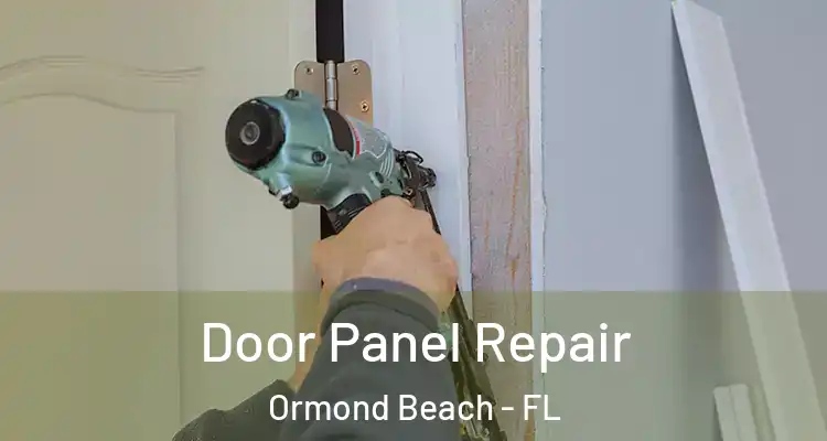Door Panel Repair Ormond Beach - FL