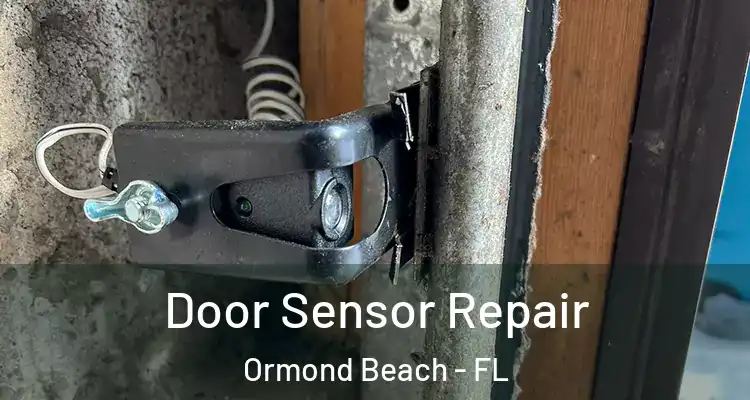 Door Sensor Repair Ormond Beach - FL