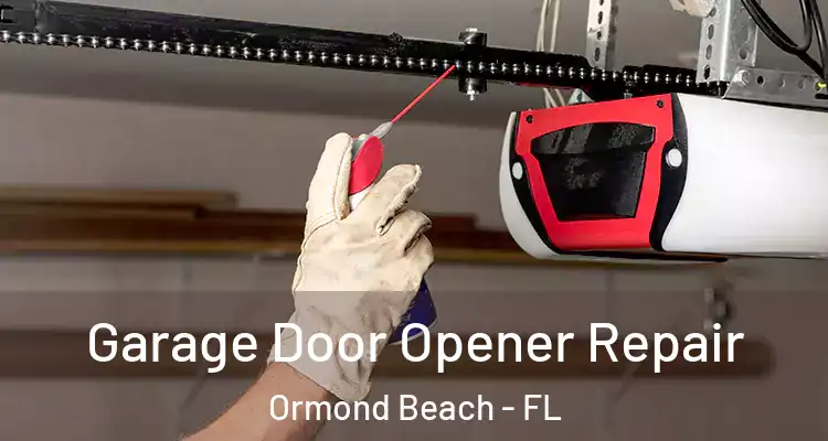 Garage Door Opener Repair Ormond Beach - FL
