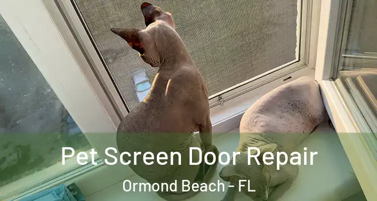 Pet Screen Door Repair Ormond Beach - FL