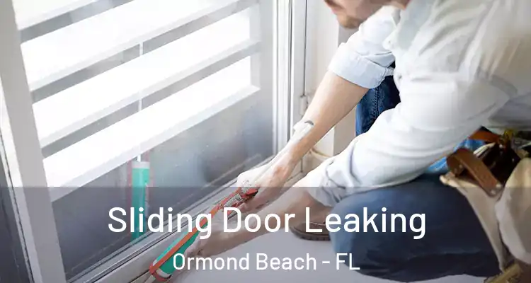 Sliding Door Leaking Ormond Beach - FL