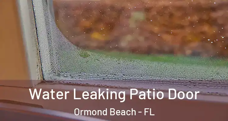 Water Leaking Patio Door Ormond Beach - FL