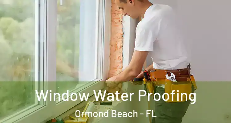 Window Water Proofing Ormond Beach - FL